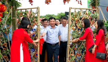 Kết nối nông sản vào chuỗi giá trị toàn cầu từ vườn vải chín