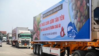 Giải pháp chống “được mùa mất giá” cho nông sản