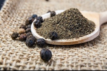 Giá tiêu xuống thấp nhất kể từ đầu năm, nông dân lo thất thu