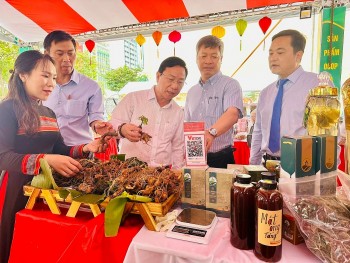 Thiếu điểm chạm văn hóa, du lịch Việt tự đánh rơi cơ hội