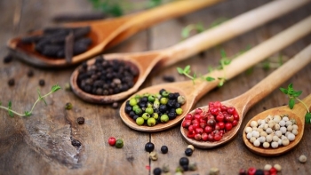 Giá tiêu trong nước tăng nhẹ, Quảng Trị đối mặt nguy cơ thất thu