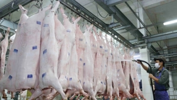 Bộ Nông nghiệp và Môi trường siết quản lý giết mổ động vật