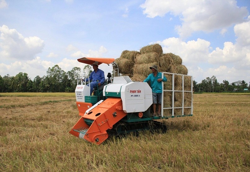 Rơm rạ được thu gom để làm thức ăn gia súc, trồng nấm... giúp giảm ô nhiễm môi trường, nâng cao thu nhập cho người nông dân. Rơm rạ được thu gom để làm thức ăn gia súc, trồng nấm... giúp giảm ô nhiễm môi trường, nâng cao thu nhập cho người nông dân.