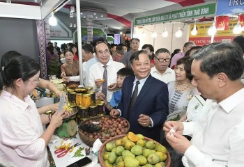 Từ đá tai mèo đến phố đi bộ: Sắc màu Tây Bắc hội tụ ở Lào Cai