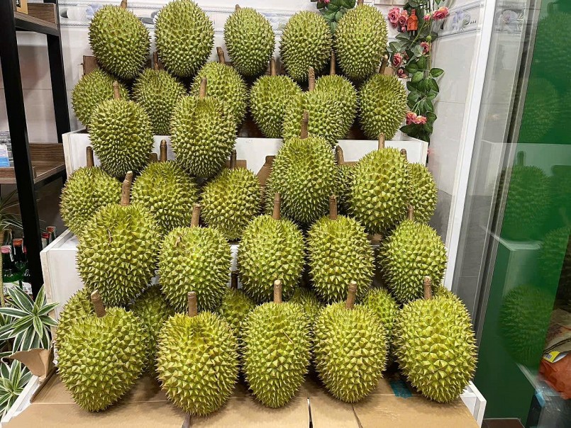 Việc nông dân tự phát trồng sầu riêng và áp dụng nhiều quy trình sản xuất bằng cảm tính đã gây ra một số hệ lụy.