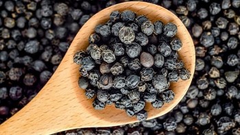 Giá tiêu giảm mạnh trong nước, kỳ vọng phục hồi nhờ tín hiệu từ Mỹ