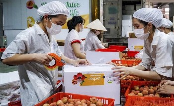 Xuất khẩu rau quả giảm tốc: Đích đến 8 tỷ USD vẫn trong tầm tay