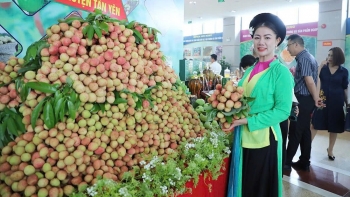 Lan tỏa giá trị thương hiệu Vải thiều Bắc Giang trên thị trường toàn cầu