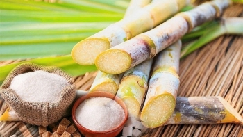 Nâng sức sống cho ngành mía đường Việt