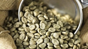 Giá cà phê trong nước “trượt dốc” theo đà giảm toàn cầu