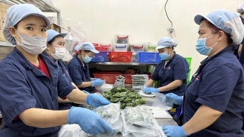 Chuyển đổi mô hình hộ kinh doanh để phát triển bền vững