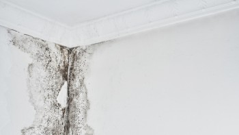 Nguyên nhân và cách khắc phục ẩm mốc trong nhà