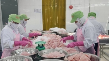 Xuất khẩu thủy sản cần chiến lược dài hạn