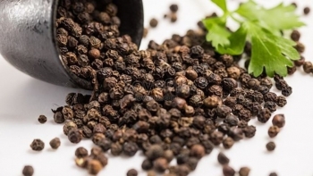 Giá tiêu trong nước ổn định sau tuần lao dốc