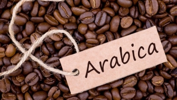 Giá cà phê phục hồi mạnh do lo ngại thời tiết Brazil và căng thẳng Trung Đông hạ nhiệt