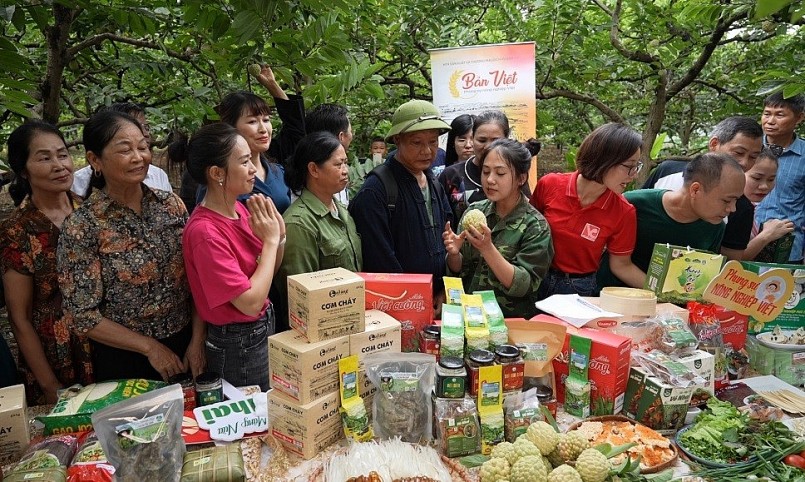Chuyển đổi số HTX không thể làm theo phong trào