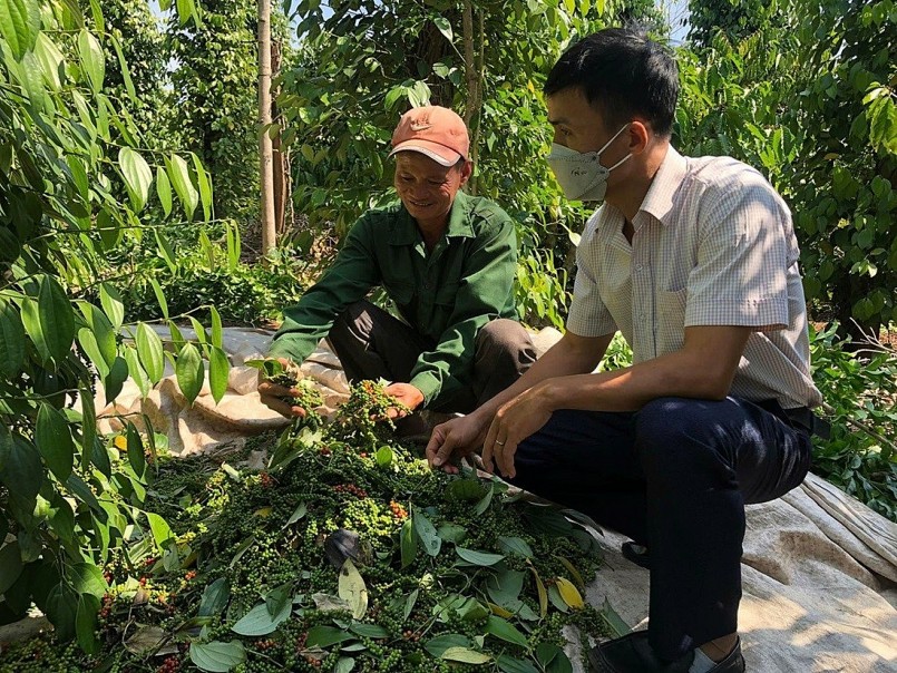 Chủ động kiểm soát chất lượng nông sản xuất khẩu Chủ động kiểm soát chất lượng nông sản xuất khẩu