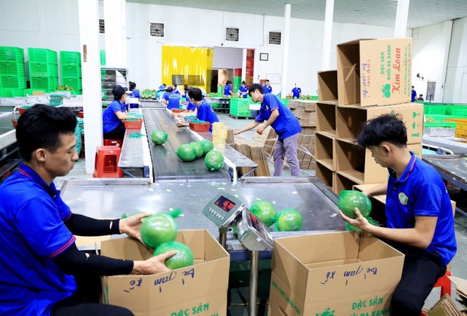 Chủ động kiểm soát chất lượng nông sản xuất khẩu Chủ động kiểm soát chất lượng nông sản xuất khẩu