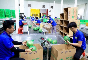 Chủ động kiểm soát chất lượng nông sản xuất khẩu