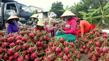 Ngành rau quả chuyển mình trước thử thách mới