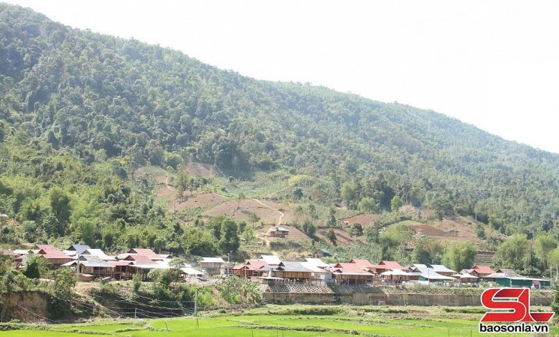 Điểm tái định cư bản Phát, xã Cà Nàng, huyện Quỳnh Nhai.