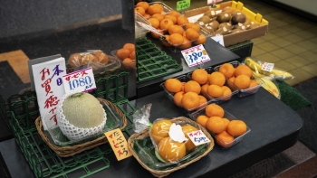 Doanh nghiệp Việt rộng cửa vào Nhật Bản