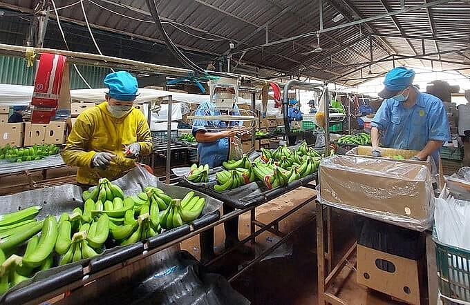 Minh bạch thủ tục và đồng bộ pháp lý giúp doanh nghiệp thuận lợi mở rộng thị trường.