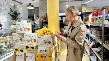 Xây dựng biểu tượng mùa vụ cho trái cây Việt