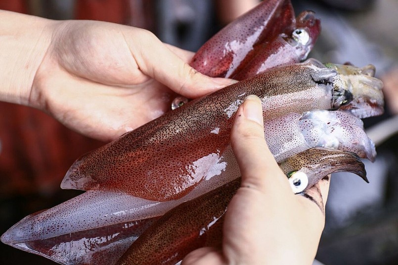 Mực nhảy – hay còn gọi là mực nháy – là tên gọi dùng để chỉ những con mực vừa được ngư dân đánh bắt, còn sống. Mực nhảy – hay còn gọi là mực nháy – là tên gọi dùng để chỉ những con mực vừa được ngư dân đánh bắt, còn sống.