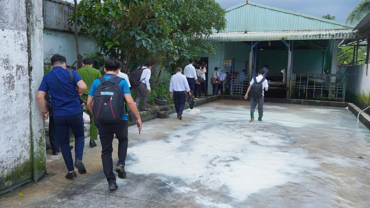 Không khởi tố hình sự vụ tố công ty C.P. Việt Nam bán thịt heo bẩn. Ảnh: Tạ Quang Không khởi tố hình sự vụ tố công ty C.P. Việt Nam bán thịt heo bẩn. Ảnh: Tạ Quang