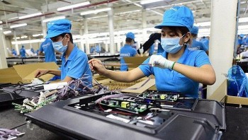 Kinh tế tư nhân bứt phá, số doanh nghiệp thành lập mới lập kỷ lục