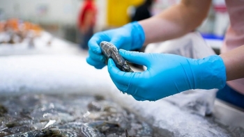 Trước biến động thuế quan: Doanh nghiệp Việt cần chủ động ra sao?