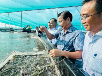 Chuyển đổi xanh quyết định vận mệnh thủy sản