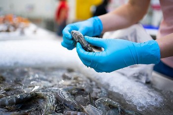 Trước biến động thuế quan: Doanh nghiệp Việt cần chủ động ra sao?