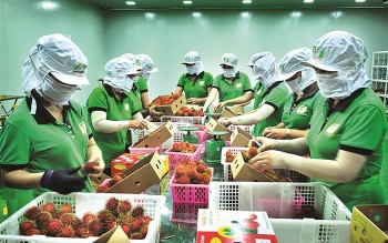 Cơ hội cho hàng Việt ra thế giới