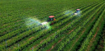 Chuyển đổi số mở lối phát triển hợp tác xã nông nghiệp