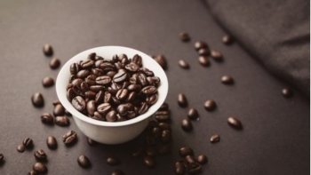 Giá cà phê trong nước tiến sát 96.000 đồng/kg