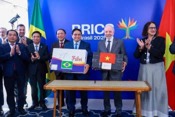 Việt Nam - Brazil kết nối thị trường sản phẩm thiên nhiên