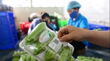 Chuỗi cung ứng minh bạch: Nền tảng cho kinh tế số