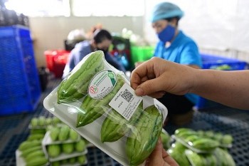 Chuỗi cung ứng minh bạch: Nền tảng cho kinh tế số