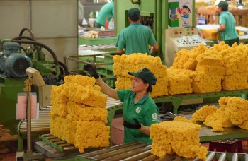Minh bạch chuỗi cung mở rộng thị trường cao su