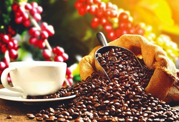 Thị trường nông sản hôm nay (1-9): Giá cà phê và hồ tiêu ổn định