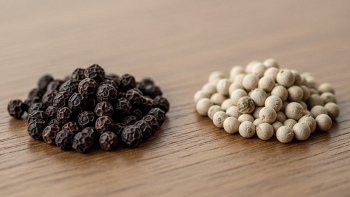 Giá tiêu đi ngang đầu tuần: Xu hướng ngắn hạn vẫn chưa rõ ràng