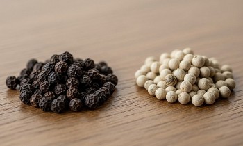 Giá tiêu đi ngang đầu tuần: Xu hướng ngắn hạn vẫn chưa rõ ràng