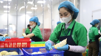 Xuất khẩu khởi sắc: Hàng Việt vươn tầm thế giới