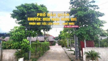 Phố Đảo Quán: Khi ẩm thực trở thành ký ức của một vùng quê