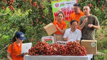 Thương hiệu số thời minh bạch: Ai không thay đổi sẽ bị bỏ lại