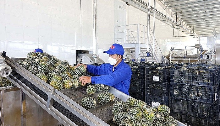 Kiến tạo thương hiệu quốc gia từ văn hóa bản sắc Kiến tạo thương hiệu quốc gia từ văn hóa bản sắc