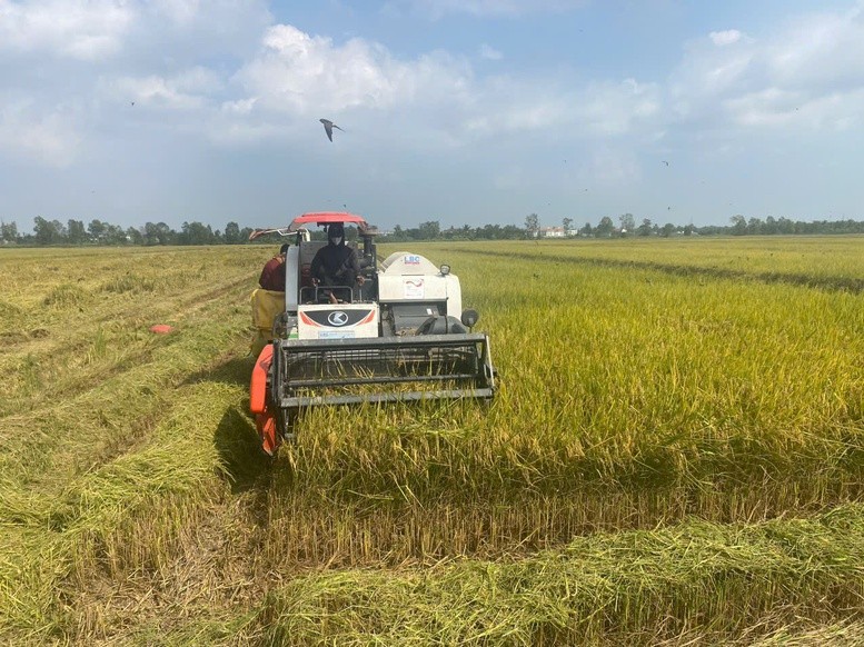 Cơ giới hóa thu hoạch lúa trong mô hình của Đề án 1 triệu ha lúa tại HTX Nông nghiệp Hưng Lợi - Ảnh: VGP/LS Cơ giới hóa thu hoạch lúa trong mô hình của Đề án 1 triệu ha lúa tại HTX Nông nghiệp Hưng Lợi - Ảnh: VGP/LS