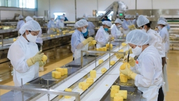 Chế biến sâu mở lối nâng tầm nông sản Việt